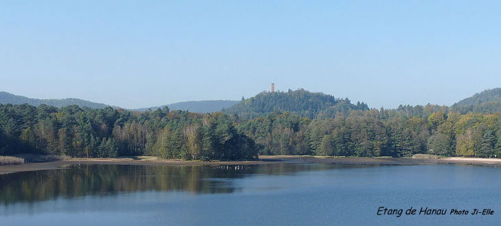 Etang de Hanau