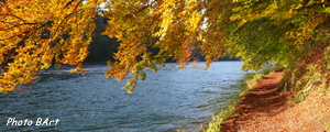 Le Rhin apr&egrave;s les chutes