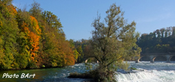 Le Rhin avant les chutes